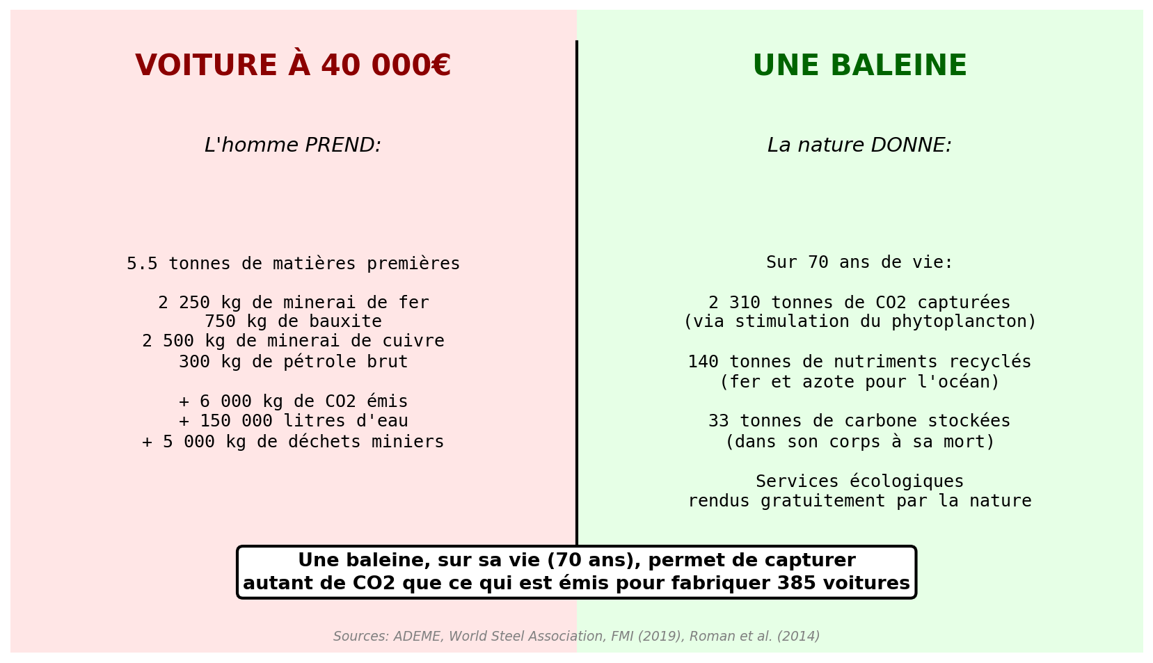 Infographie voiture vs baleine